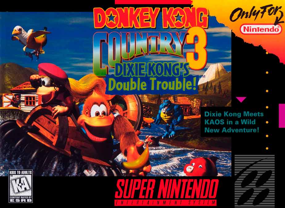 Donkey Kong Country 3 Nintendo Switch