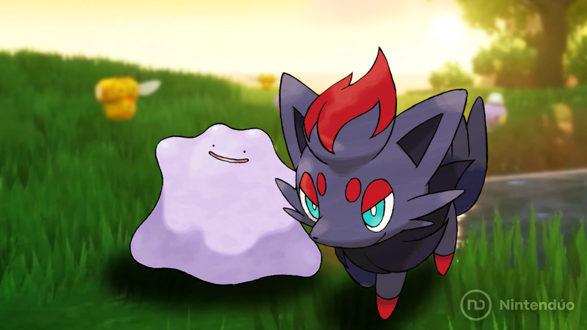 Cómo capturar a Ditto y Zorua en Pokémon Escarlata y Púrpura